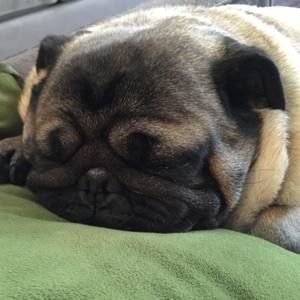 Meet your Posher, Tracy